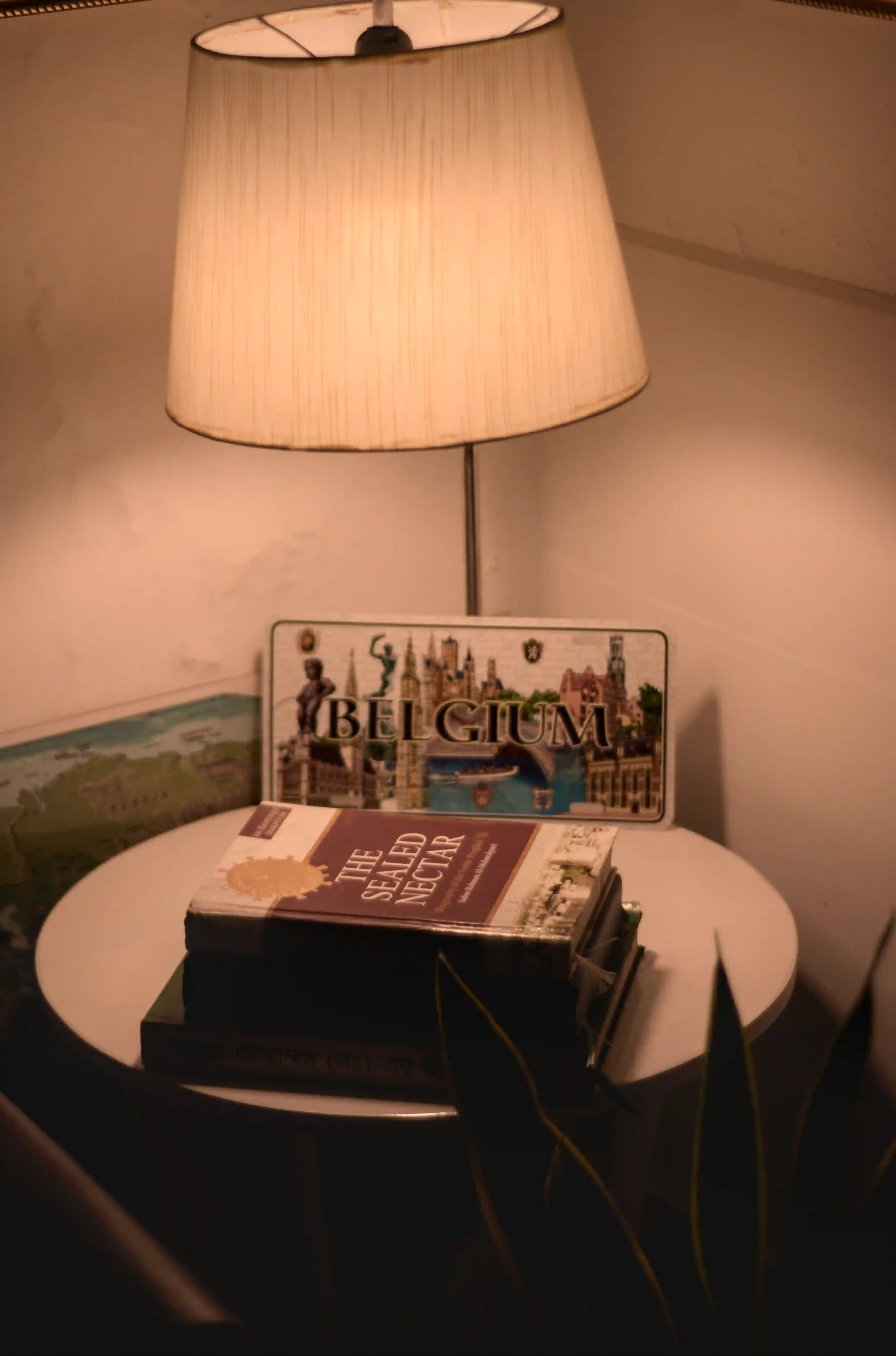 belgium-immigration-plate